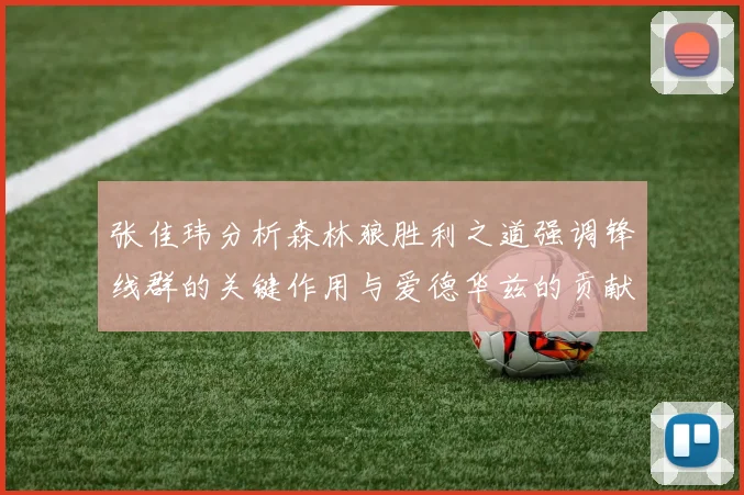 张佳玮分析森林狼胜利之道强调锋线群的关键作用与爱德华兹的贡献