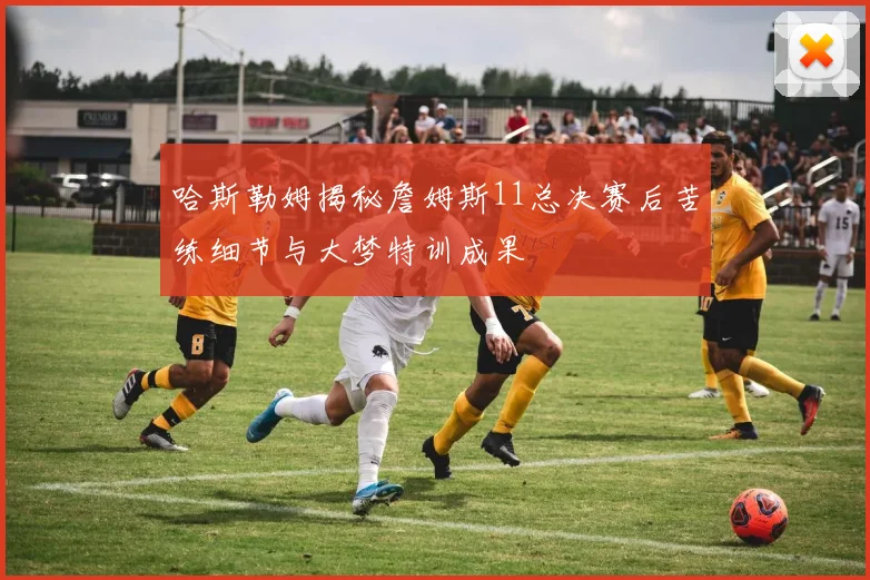 哈斯勒姆揭秘詹姆斯11总决赛后苦练细节与大梦特训成果